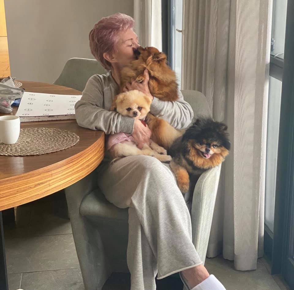 Sharon Osbourne Dogs