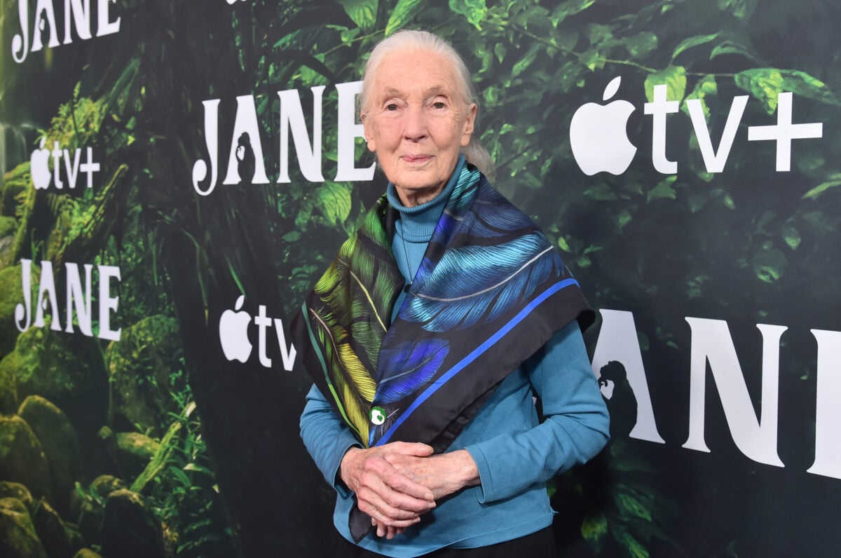 Jane Goodall