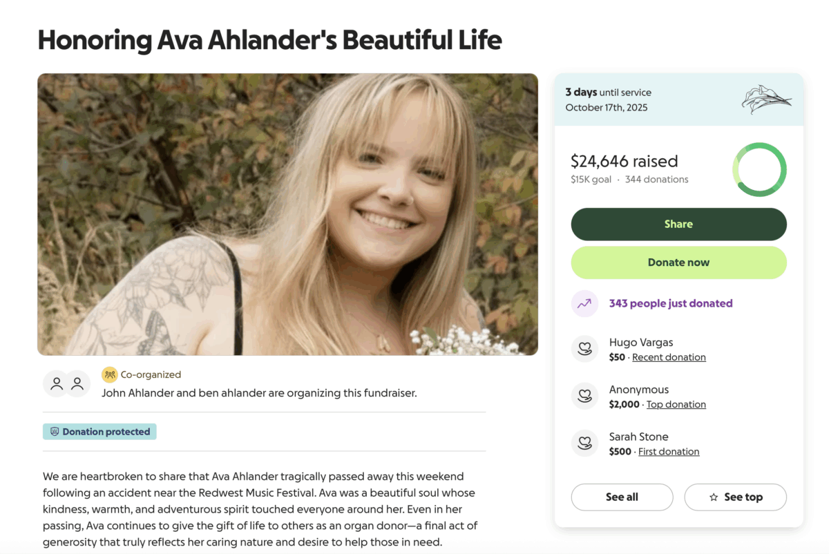 Ava Ahlander GoFundMe