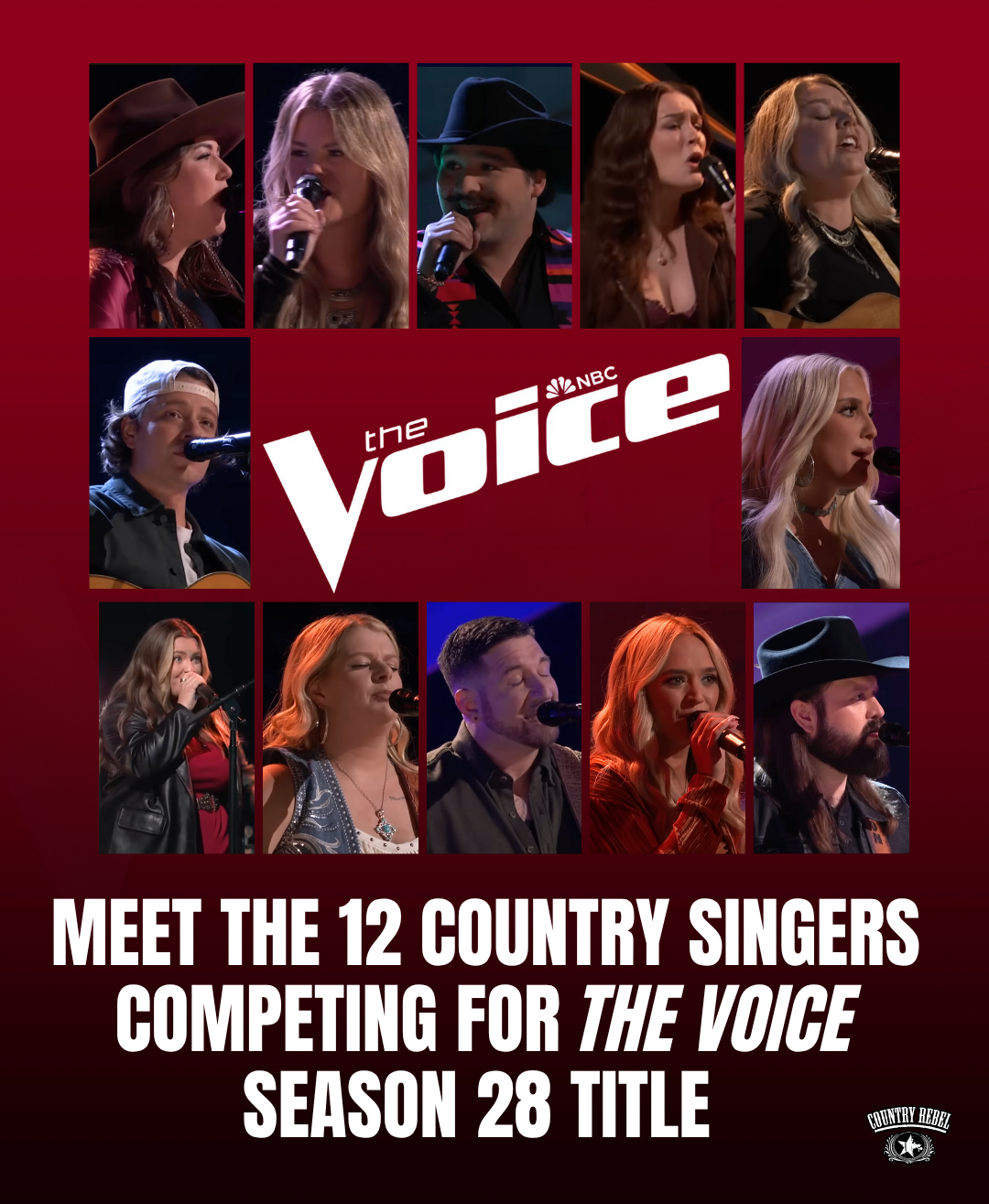 12 country singers on Season 28 of The Voice