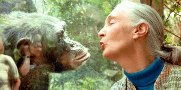 Jane Goodall