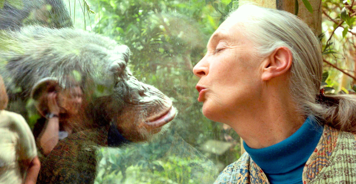 Jane Goodall