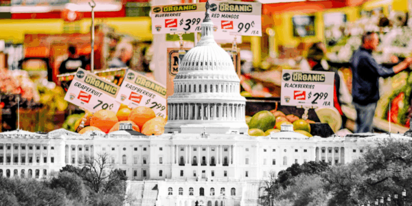 As the government shutdown continues its path toward becoming the longest shutdown in American history, the Trump administration is complying with federal court orders to resume SNAP funding.