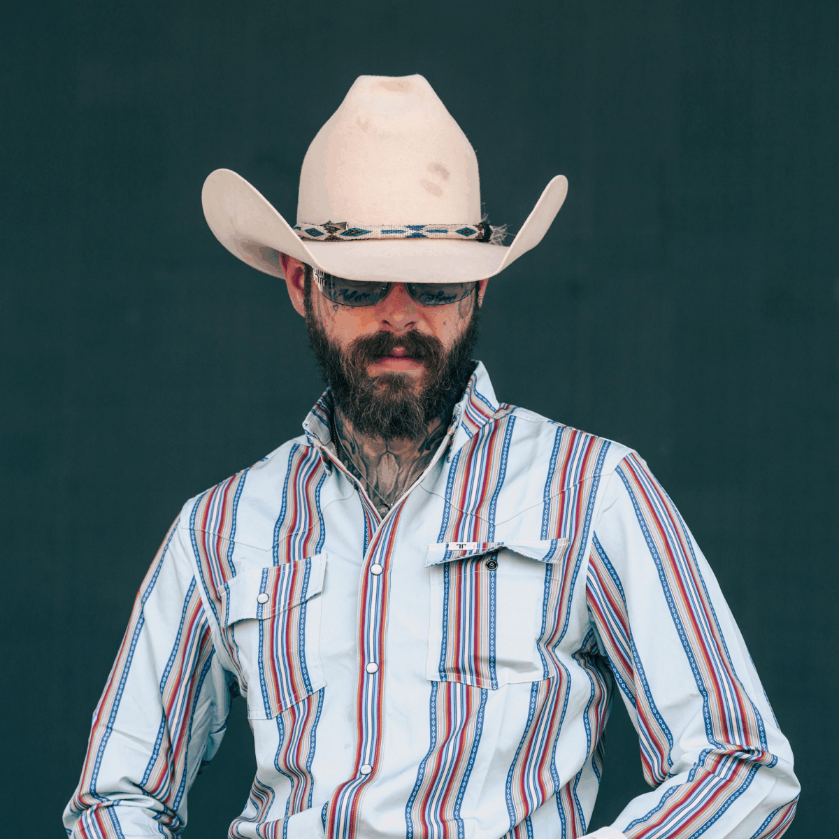 Post Malone did not attend the 59th Annual CMA Awards