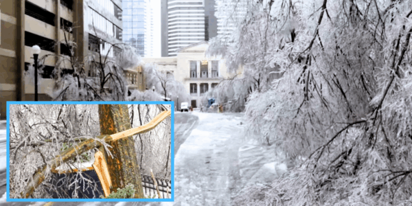 Scenes of the winter storm damage in Tennessee, with four deaths reported