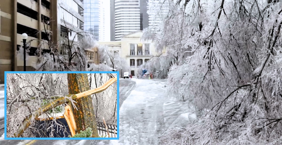 Scenes of the winter storm damage in Tennessee, with four deaths reported