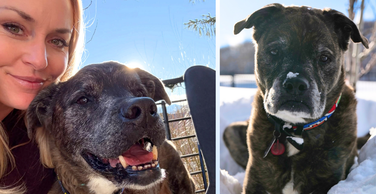 Lindsey Vonn shares her dog, Leo, died on February 9