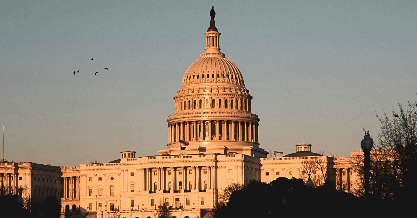 On the 42nd day of a partial government shutdown, the Senate voted to advance a bill to the House of Representatives which would fund DHS, but with two major exceptions...