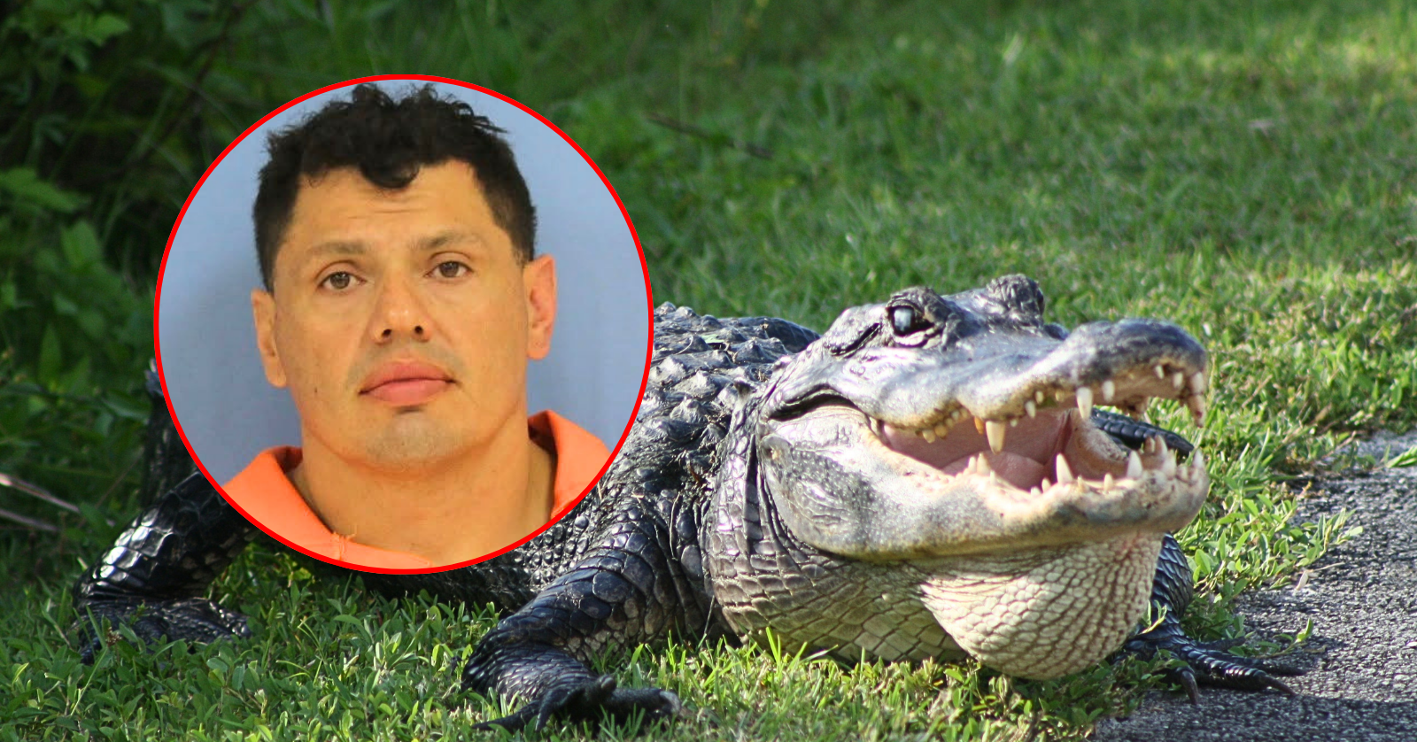 On June 7, a Louisiana man allegedly attempted to avoid arrest by running into a swamp, but bodycam video captured the moment an alligator got involved.