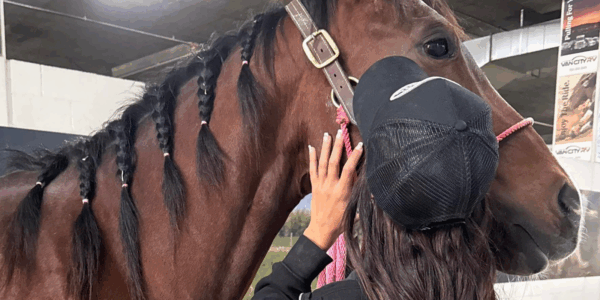 Arielle Phillips hugs her horse Detail who was injured in the horse stabbing incident in Las Vegas
