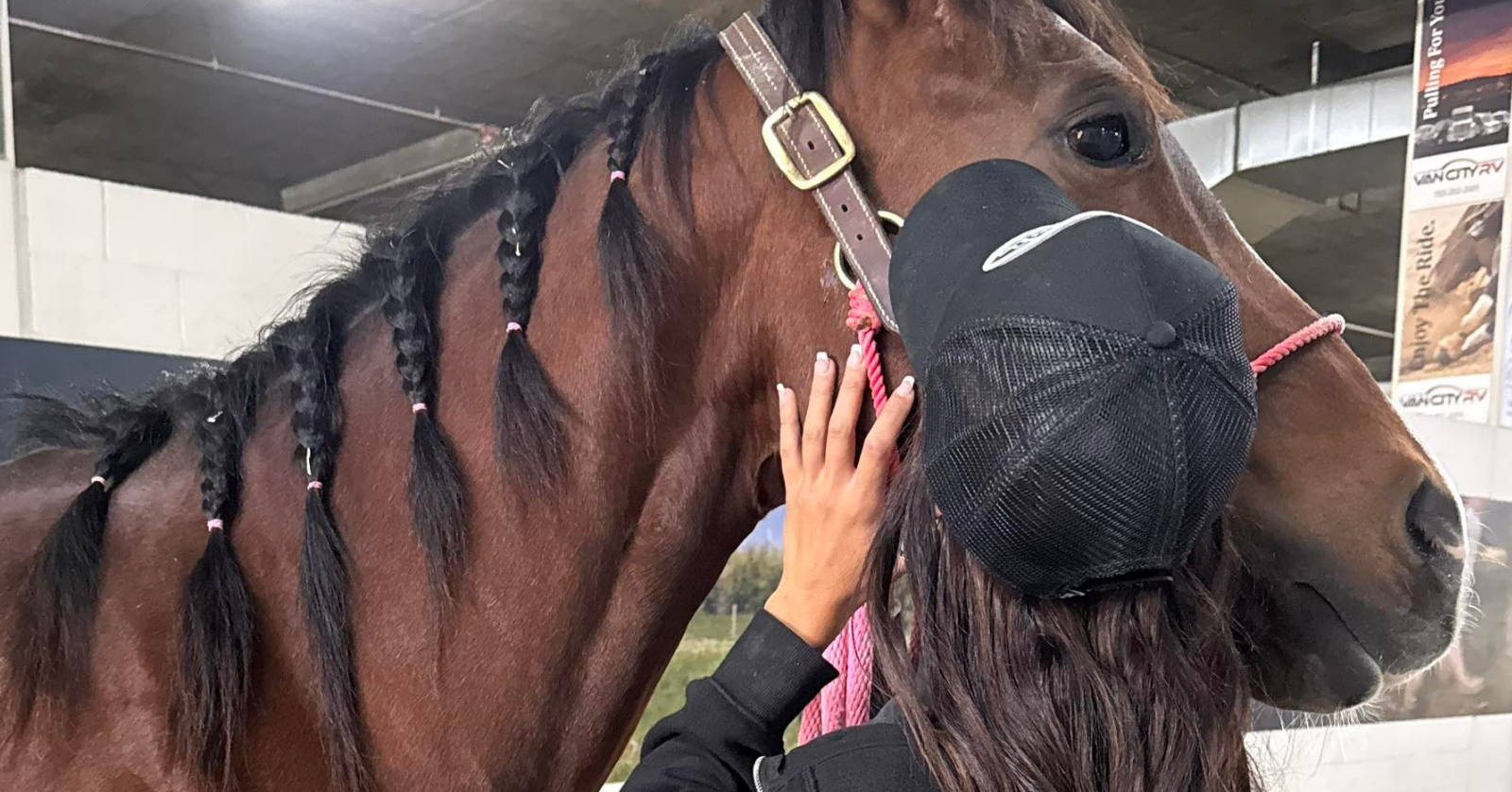 Arielle Phillips hugs her horse Detail who was injured in the horse stabbing incident in Las Vegas