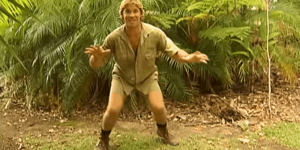 After Robert Irwin's success on "Dancing with the Stars," the question remains of whether Robert's late father, Steve Irwin, would have fared well on the competition show.