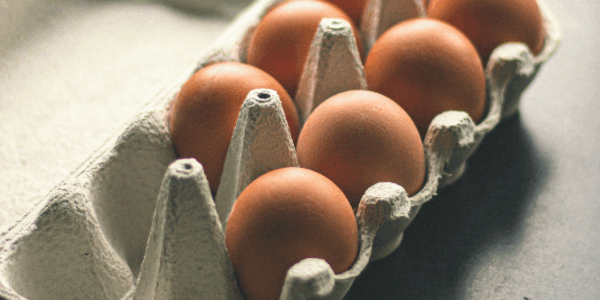Nearly 1.6 million cartons of a dozen eggs have been recalled, with the risk of Salmonella potentially impacting six states.