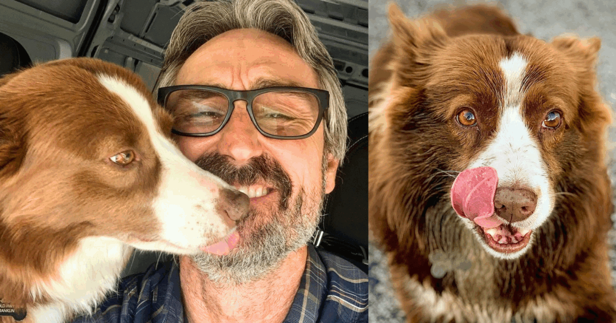 Mike Wolfe shares heartbreaking news that his dog Francie Joe was killed died passed away in a tragic accident
