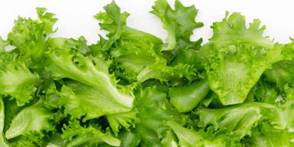 On Aug. 3, about two months into the ongoing cyclospora outbreak, the first deaths related to to the parasitic infection were reported...