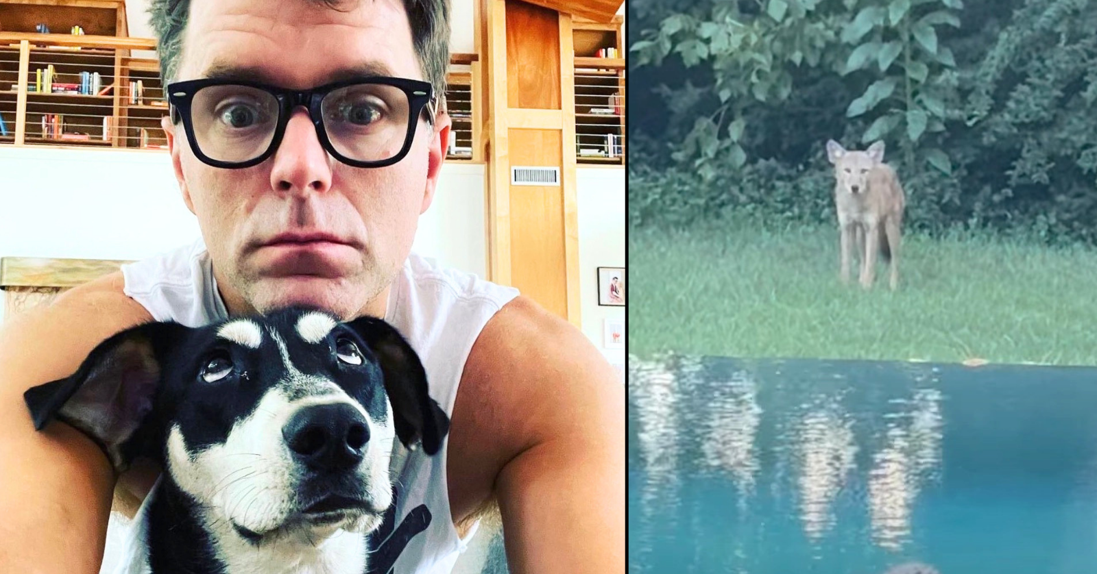 Bobby Bones shared his dog, Eller, was attacked by a coyote in their yard, then he shares footage video of the coyote