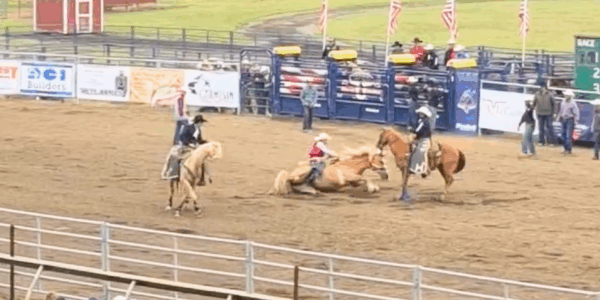Over the weekend at the Humboldt County Fair in Ferndale, California, two horses were put down following injuries sustained during rodeo events.