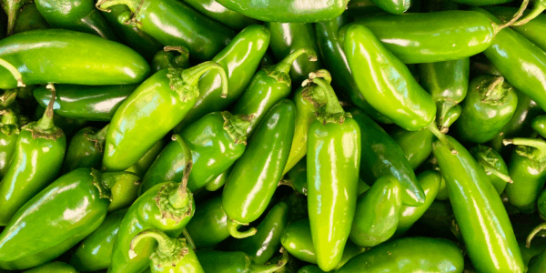 Fresh jalapeños are being recalled by two major produce providers, including Taylor Farms, after 345 Americans reportedly get sick.