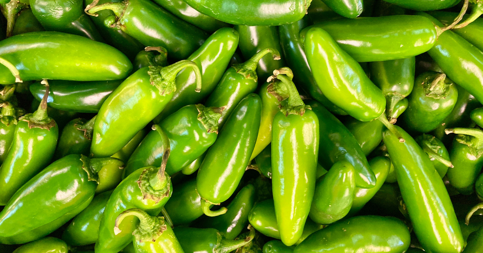 Fresh jalapeños are being recalled by two major produce providers, including Taylor Farms, after 345 Americans reportedly get sick.