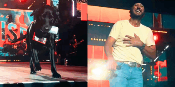 Luke Bryan's dog a black lab brought him a beer onstage during a concert show in the middle of a song