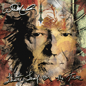 Willie Nelson released his album Last Leaf on the Tree in 2024