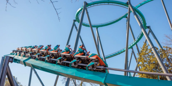 A passenger on a rollercoaster at Six Flags reportedly fell to his death mid-ride, with witnesses sharing what they observed of the horrific incident.